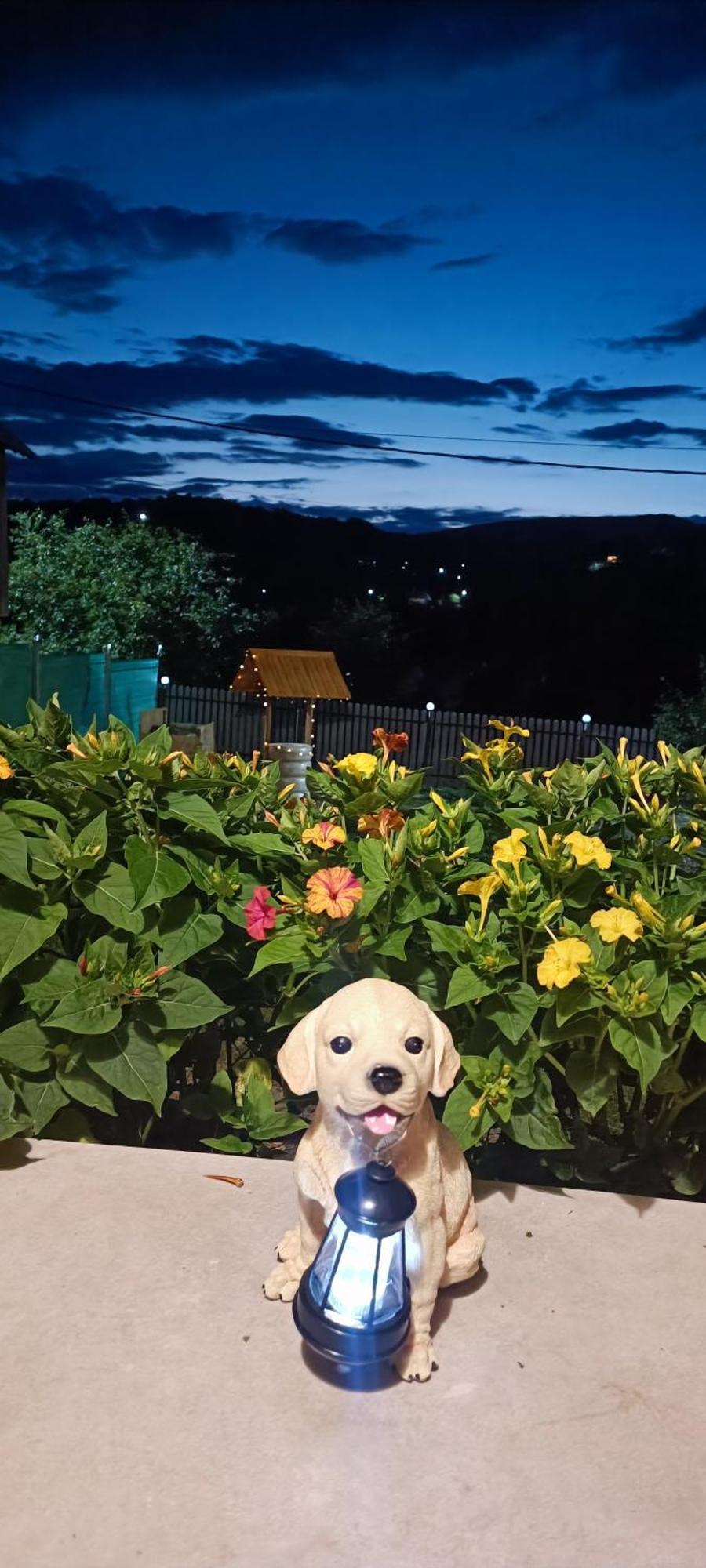 Villa Casuta Din Livada Secaria Esterno foto